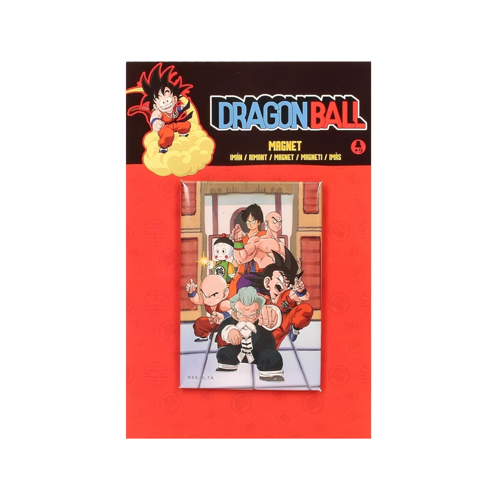 Magnet DRAGON BALL TOURNAMENT foto